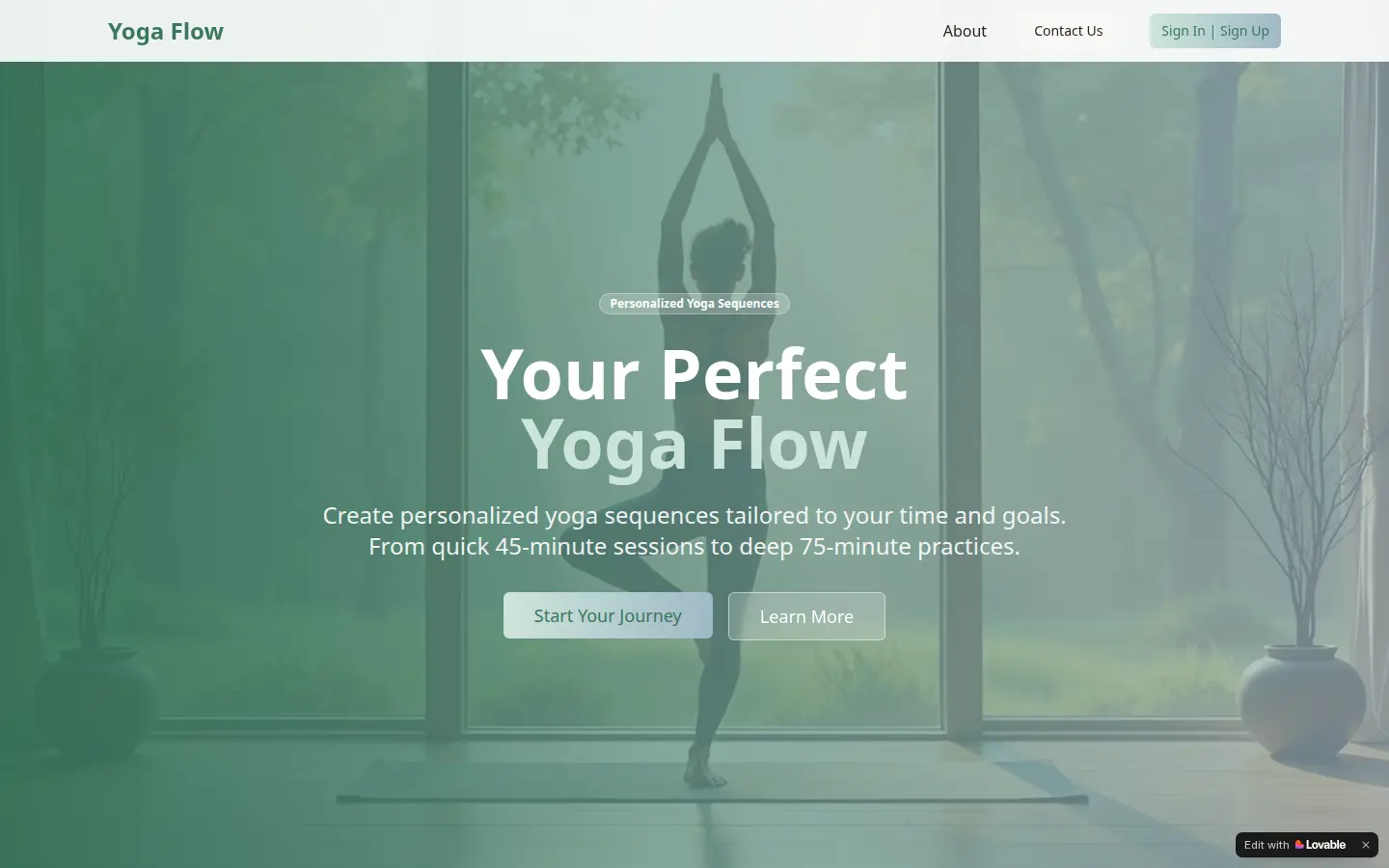Yoga Studio preview